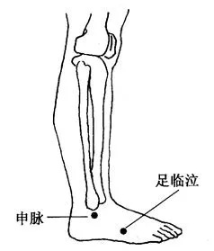 人体生命线“奇经八脉”，每天按摩，气血更足！(图6)